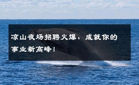 凉山夜场招聘火爆，成就你的事业新高峰！