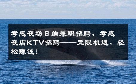 孝感夜场日结兼职招聘，孝感夜店KTV招聘——无限机遇，轻松赚钱！