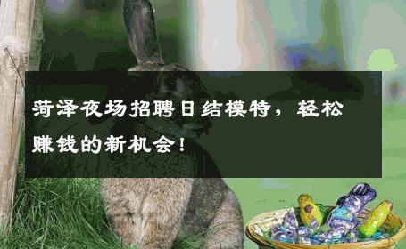菏泽夜场招聘日结模特，轻松赚钱的新机会！
