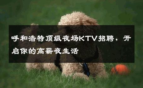 呼和浩特顶级夜场KTV招聘，开启你的高薪夜生活