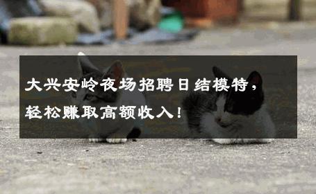 大兴安岭夜场招聘日结模特，轻松赚取高额收入！