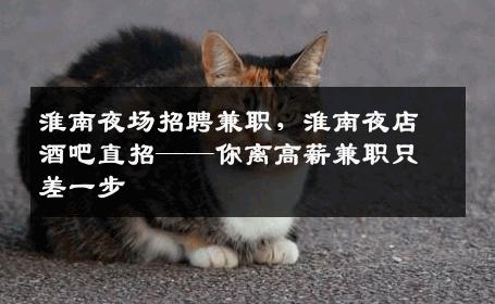淮南夜场招聘兼职，淮南夜店酒吧直招——你离高薪兼职只差一步
