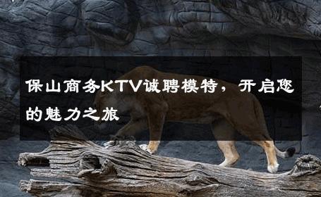 保山商务KTV诚聘模特，开启您的魅力之旅