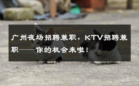 广州夜场招聘兼职，KTV招聘兼职——你的机会来啦！