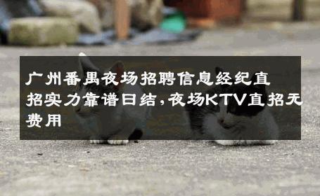广州番禺夜场招聘信息经纪直招实力靠谱曰结,夜场KTV直招无费用