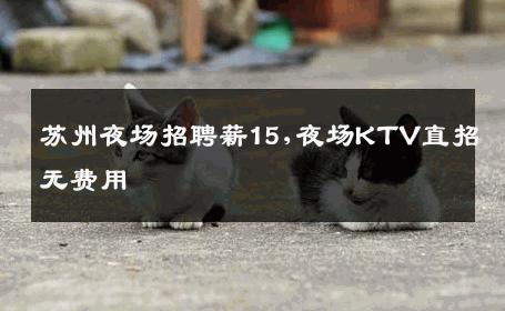 苏州夜场招聘薪15,夜场KTV直招无费用
