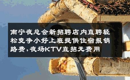 南宁夜总会新招聘店内直聘轻松竞争小好上班提供住宿报销路费,夜场KTV直招无费用