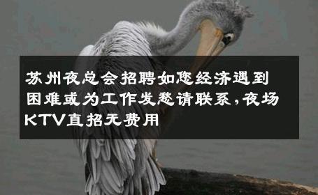苏州夜总会招聘如您经济遇到困难或为工作发愁请联系,夜场KTV直招无费用