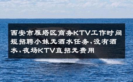 西安市雁塔区商务KTV工作时间短招聘小妹无酒水任务,没有酒水,夜场KTV直招无费用