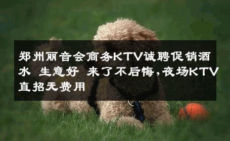 郑州丽音会商务KTV诚聘促销酒水 生意好 来了不后悔,夜场KTV直招无费用