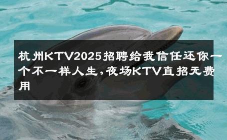 杭州KTV2025招聘给我信任还你一个不一样人生,夜场KTV直招无费用