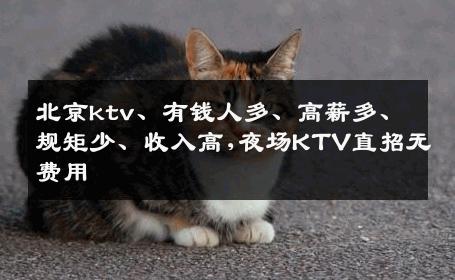 北京ktv、有钱人多、高薪多、规矩少、收入高,夜场KTV直招无费用