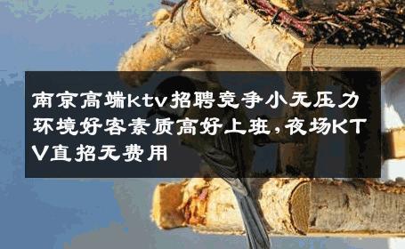 南京高端ktv招聘竞争小无压力环境好客素质高好上班,夜场KTV直招无费用