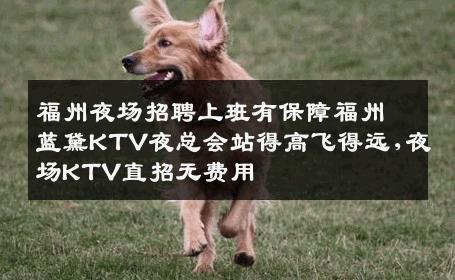 福州夜场招聘上班有保障福州蓝黛KTV夜总会站得高飞得远,夜场KTV直招无费用