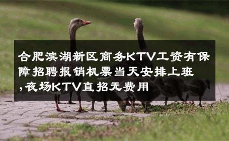 合肥滨湖新区商务KTV工资有保障招聘报销机票当天安排上班,夜场KTV直招无费用