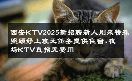 西安KTV2025新招聘新人刚来特殊照顾好上班无任务提供住宿,夜场KTV直招无费用