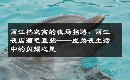 丽江档次高的夜场招聘，丽江夜店酒吧直招——成为夜生活中的闪耀之星