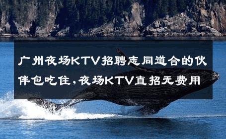 广州夜场KTV招聘志同道合的伙伴包吃住,夜场KTV直招无费用