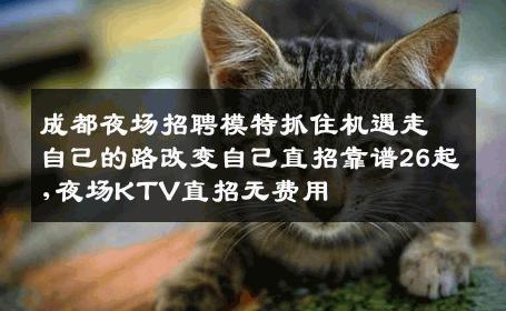 成都夜场招聘模特抓住机遇走自己的路改变自己直招靠谱26起,夜场KTV直招无费用