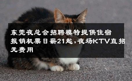 东莞夜总会招聘模特提供住宿报销机票日薪21起,夜场KTV直招无费用
