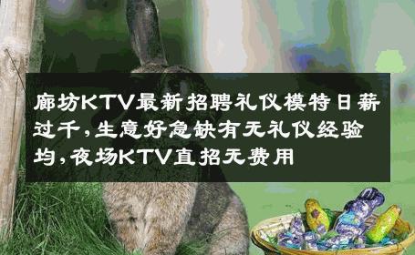 廊坊KTV最新招聘礼仪模特日薪过千,生意好急缺有无礼仪经验均,夜场KTV直招无费用