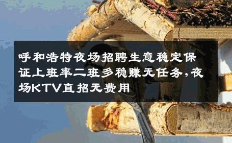 呼和浩特夜场招聘生意稳定保证上班率二班多稳赚无任务,夜场KTV直招无费用