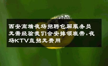 西安高端夜场招聘包厢服务员无需经验我们会安排领班带,夜场KTV直招无费用
