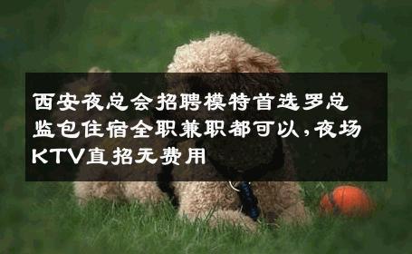西安夜总会招聘模特首选罗总监包住宿全职兼职都可以,夜场KTV直招无费用
