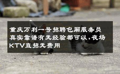 重庆万利一号招聘包厢服务员真实靠谱有无经验都可以,夜场KTV直招无费用