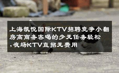 上海凯悦国际KTV招聘竞争小翻房高商务客喝的少无任务轻松,夜场KTV直招无费用
