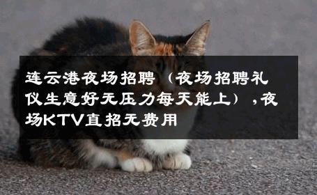 连云港夜场招聘（夜场招聘礼仪生意好无压力每天能上）,夜场KTV直招无费用