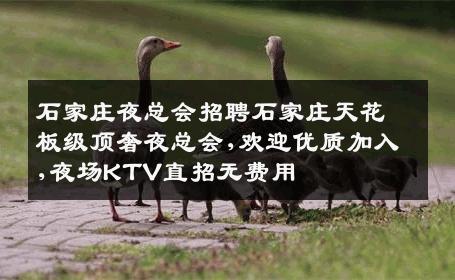 石家庄夜总会招聘石家庄天花板级顶奢夜总会,欢迎优质加入,夜场KTV直招无费用
