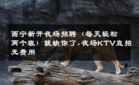 西宁新开夜场招聘（每天轻松两个班）就缺你了,夜场KTV直招无费用