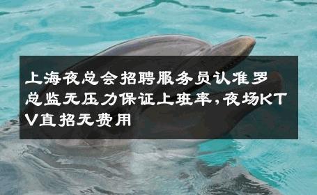 上海夜总会招聘服务员认准罗总监无压力保证上班率,夜场KTV直招无费用