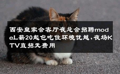 西安皇家会客厅夜总会招聘modeL薪20起包吃住环境优越,夜场KTV直招无费用