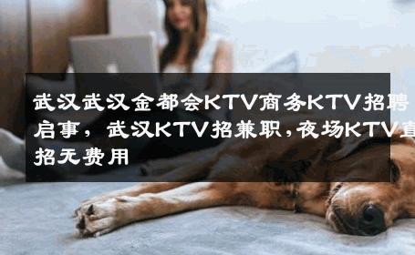武汉武汉金都会KTV商务KTV招聘启事，武汉KTV招兼职,夜场KTV直招无费用