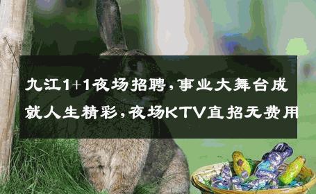 九江1+1夜场招聘,事业大舞台成就人生精彩,夜场KTV直招无费用