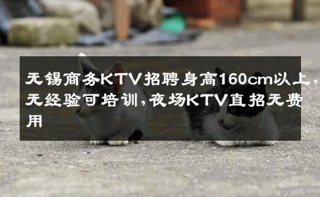 无锡商务KTV招聘身高160cm以上，无经验可培训,夜场KTV直招无费用