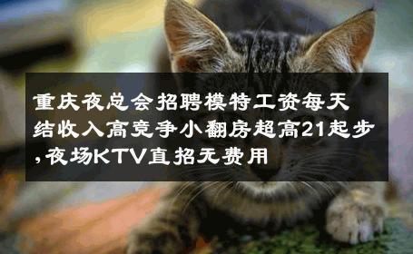 重庆夜总会招聘模特工资每天结收入高竞争小翻房超高21起步,夜场KTV直招无费用