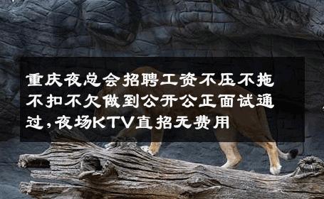 重庆夜总会招聘工资不压不拖不扣不欠做到公开公正面试通过,夜场KTV直招无费用