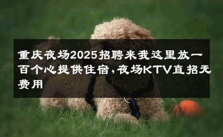 重庆夜场2025招聘来我这里放一百个心提供住宿,夜场KTV直招无费用