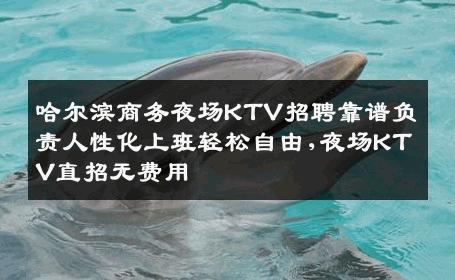 哈尔滨商务夜场KTV招聘靠谱负责人性化上班轻松自由,夜场KTV直招无费用