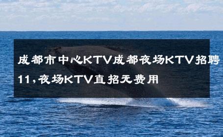 成都市中心KTV成都夜场KTV招聘11,夜场KTV直招无费用