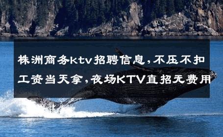 株洲商务ktv招聘信息,不压不扣工资当天拿,夜场KTV直招无费用