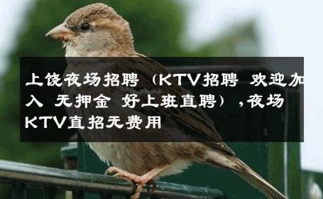 上饶夜场招聘（KTV招聘 欢迎加入 无押金 好上班直聘）,夜场KTV直招无费用