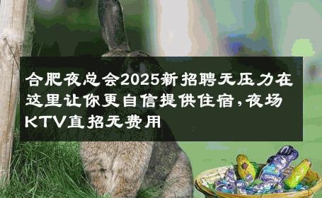 合肥夜总会2025新招聘无压力在这里让你更自信提供住宿,夜场KTV直招无费用