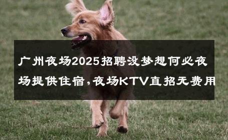 广州夜场2025招聘没梦想何必夜场提供住宿,夜场KTV直招无费用