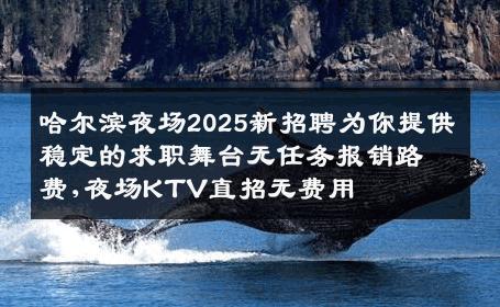 哈尔滨夜场2025新招聘为你提供稳定的求职舞台无任务报销路费,夜场KTV直招无费用
