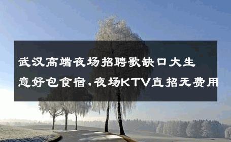 武汉高端夜场招聘歌缺口大生意好包食宿,夜场KTV直招无费用