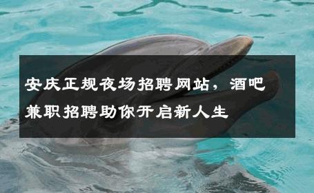 安庆正规夜场招聘网站，酒吧兼职招聘助你开启新人生